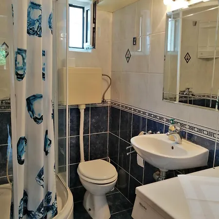 Apartment Dzoni *